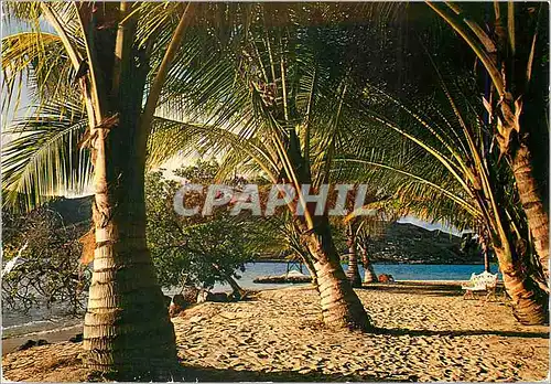 Cartes postales moderne Images des Antilles Club Mediterranee Les Boucaniers Bord de Mer