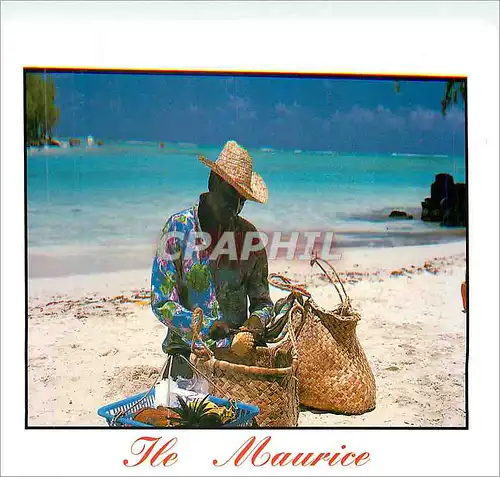 Cartes postales moderne Ile Maurice Marchand d'Annanas