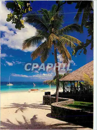 Cartes postales moderne Ile Maurice Mauritius Trou aux Biches