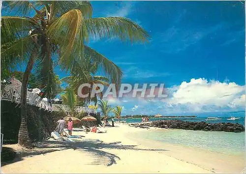 Cartes postales moderne Ile Maurice  Mauritius Merville