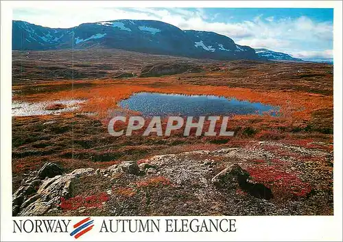 Moderne Karte Norway Autumn Elegance
