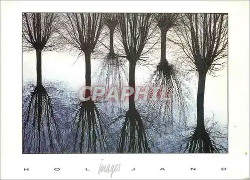 Cartes postales moderne Holland