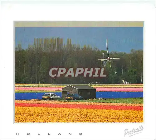 Cartes postales moderne Greetings from Holland Moulin