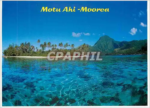 Cartes postales moderne Motu Ahi Moorea