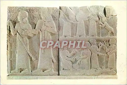 Cartes postales moderne Ankara Arkeoloji Mozesi Des Enfants du Roi Araras