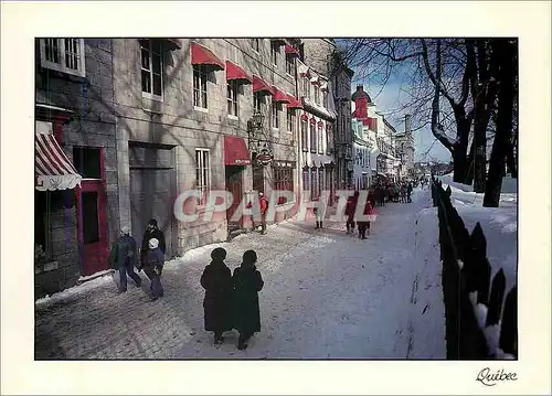Cartes postales moderne Ville de Quebec Rue Ste Anne