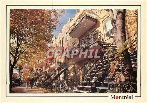 Moderne Karte Montreal Rue Christophe Colomb