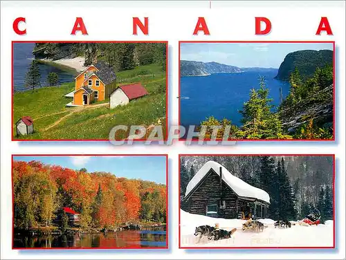 Moderne Karte Canada Paysages Contrastes et Saisons Chiens Husky