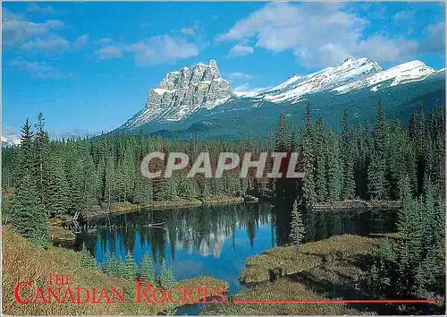 Cartes postales moderne The Canadian Rockies Banff National Park