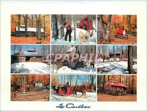 Cartes postales moderne Paysages du Quebec Les Cabannes a Sucre de Quebec