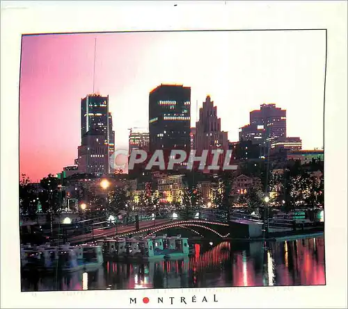 Cartes postales moderne Montreal Le Centre Ville Vue du Vieux Port