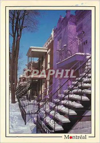 Cartes postales moderne Montreal Avenue de Chateaubriand