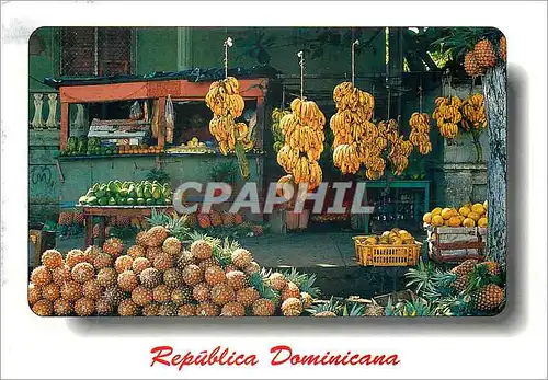 Moderne Karte Republica Dominicana Frutas Tropicales Bananes