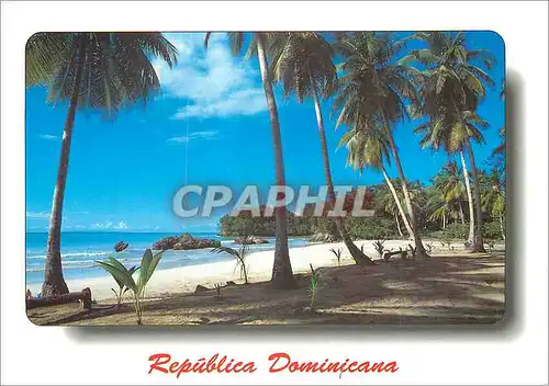 Cartes postales moderne Republica Dominicana Las Terrenas