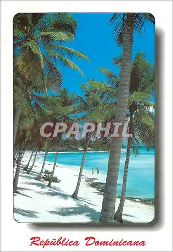 Cartes postales moderne Republica Dominicana Club Dominicus Beach