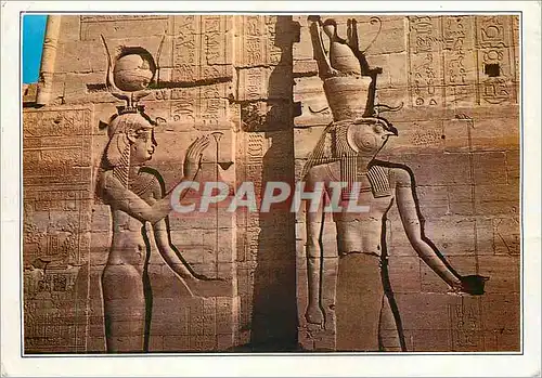 Cartes postales moderne Egypt Asswan Beautiful Reliefs of Isis Temple at Philae
