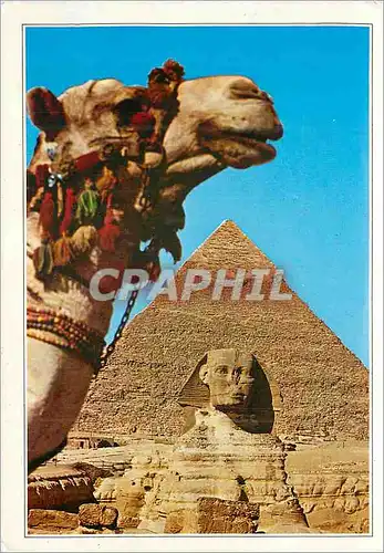 Cartes postales moderne Egypt Giza The Sphinx and the Pyramid of Khafre Chameau