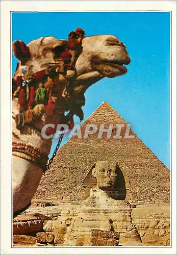 Moderne Karte Egypt Giza The Sphinx and the Pyramid of Khafre Chameau