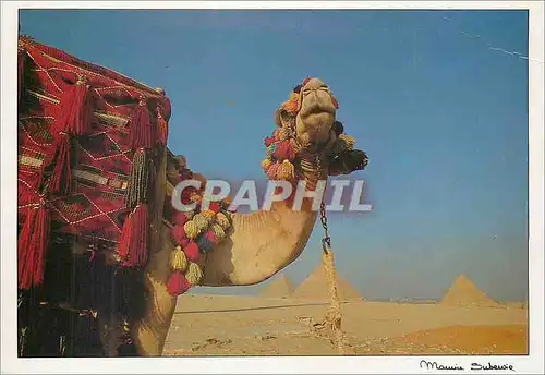 Cartes postales moderne Egypt Pyramids of Guiza