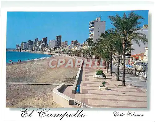 Cartes postales moderne El Campello (Alicante) Costa Blanca Espana Maritim Promenade