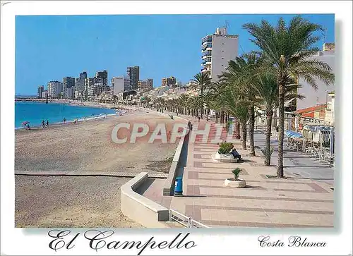 Cartes postales moderne El Campello (Alicante) Costa Blanca Espana Maritim Promenade