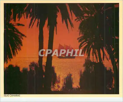 Cartes postales moderne Islas Canarias Espana