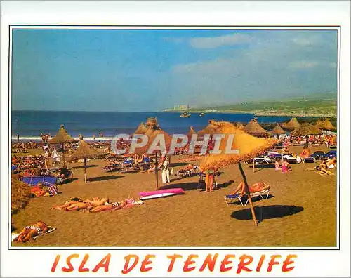 Cartes postales moderne Isla de Tenerife Playa de Las Americas