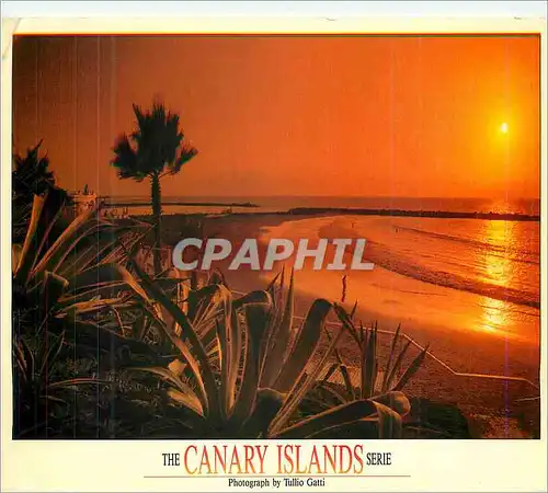 Cartes postales moderne Tenerife Playa de Las Americas The Canary Islands Serie