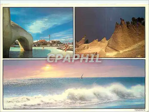 Cartes postales moderne Tenerife Playa de las Americas Lago Martianez