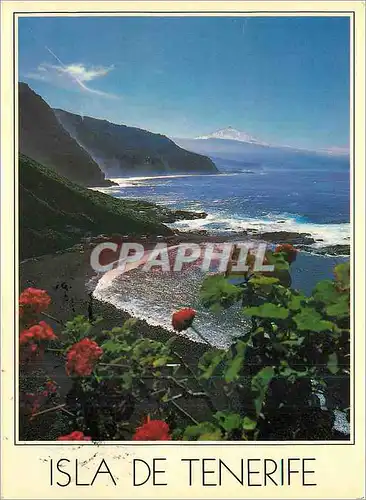 Cartes postales moderne Isla de Tenerife Islas Canarias