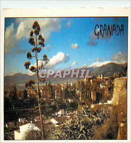 Cartes postales moderne Granada Vista Parcial de la Ciudad y de la Alhambra