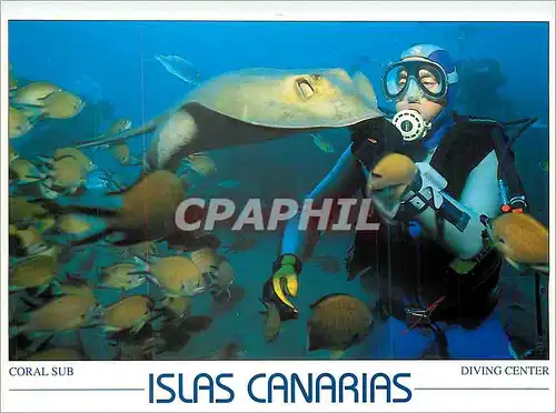 Cartes postales moderne Islas Canarias Coral Sub Diving Center Raie Poisson