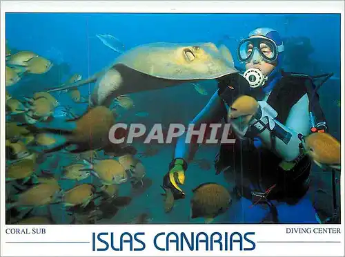 Moderne Karte Islas Canarias Coral Sub Diving Center Raie Poisson