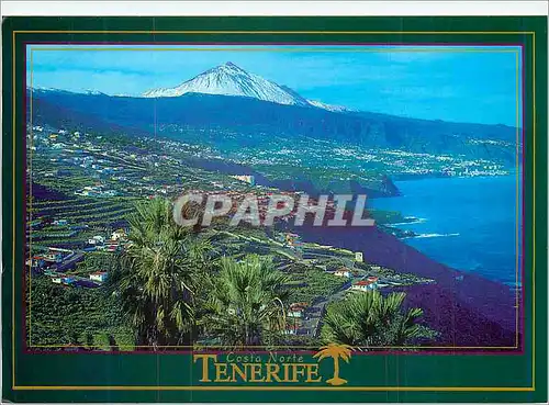 Cartes postales moderne Tenerife Costa Norte Valle de la Orotava y El Teide