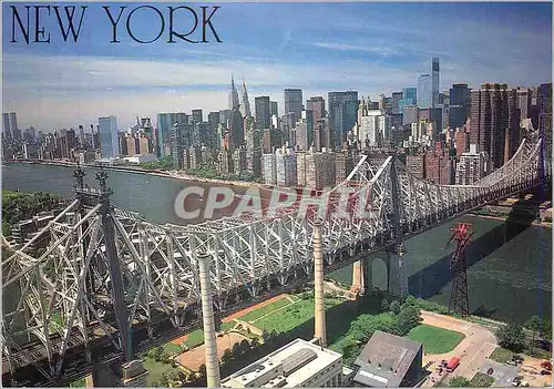 Cartes postales moderne New York City Merchandise