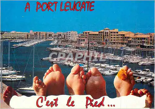 Cartes postales moderne A Port Leucate (Aude) C'est le Pied Bateaux