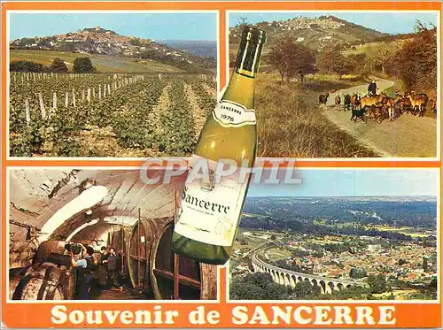 Moderne Karte Souvenir de Sancerre (Cher) Vue Generale Une Cave Paysage d'Automne a Sancerre le Viaduc de Sain