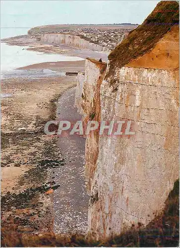 Cartes postales moderne Criel sur Mer (S Mar) Les Falaises