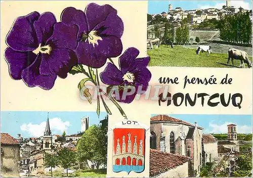 Cartes postales moderne Une Pensee de Montcuq (Lot) Vue Generale Le Centre Le Couvent et l'Eglise Vaches