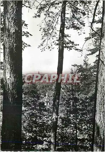 Cartes postales moderne Notre Dame d'Ay (Ardeche) Centre de Pelerinage la Tour du Sanctuaire au Fond l'Eglise de Saint R