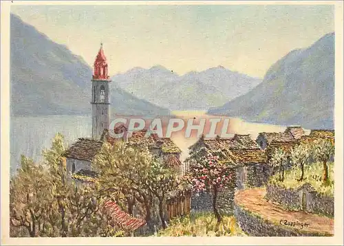 Cartes postales moderne Ronco Ascona Lago Maggiore