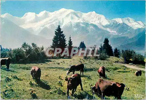 Moderne Karte Panorama sur la Chaine du Mont Blanc depuis Plaine Joux Vaches