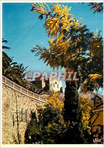Moderne Karte Bormes les Mimosas (Var) la Chapelle du XVIe siecle la Cote d'Azur French Riviera