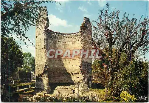Cartes postales moderne Perigueux (Dordogne) la Tour de Vesone Vestige d'un Temple de l'Epoque Gallo Romaine