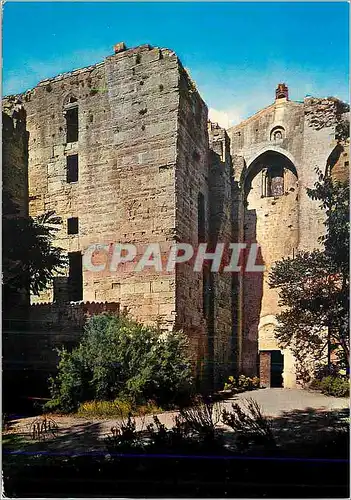 Moderne Karte Palavas les Flots (Herault) Abbaye de Maguelonne