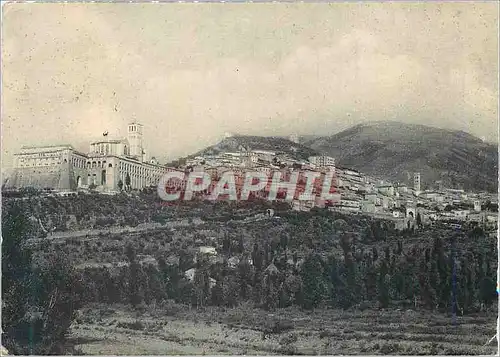 Cartes postales moderne Assisi Panorama