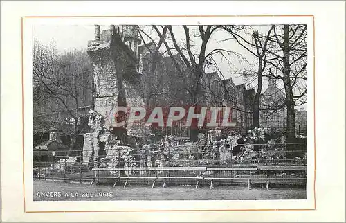 Cartes postales Anvers a la Zoologie