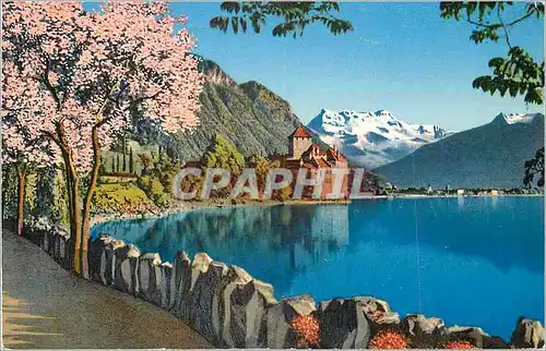 Cartes postales moderne Lac Leman Chateau de Chillon et les Dents du Midi
