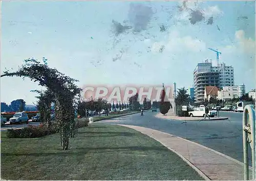 Cartes postales moderne Vichy (Allier) l'Avenue des Ailes