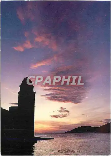 Cartes postales moderne Collioure Chateau Royal Fondation Fondation de Collioure